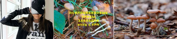 дистиллят марихуана Осинники