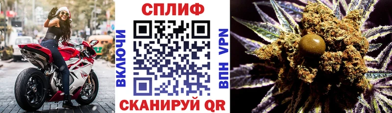 Бошки Шишки сатива  наркотики  Сычёвка 